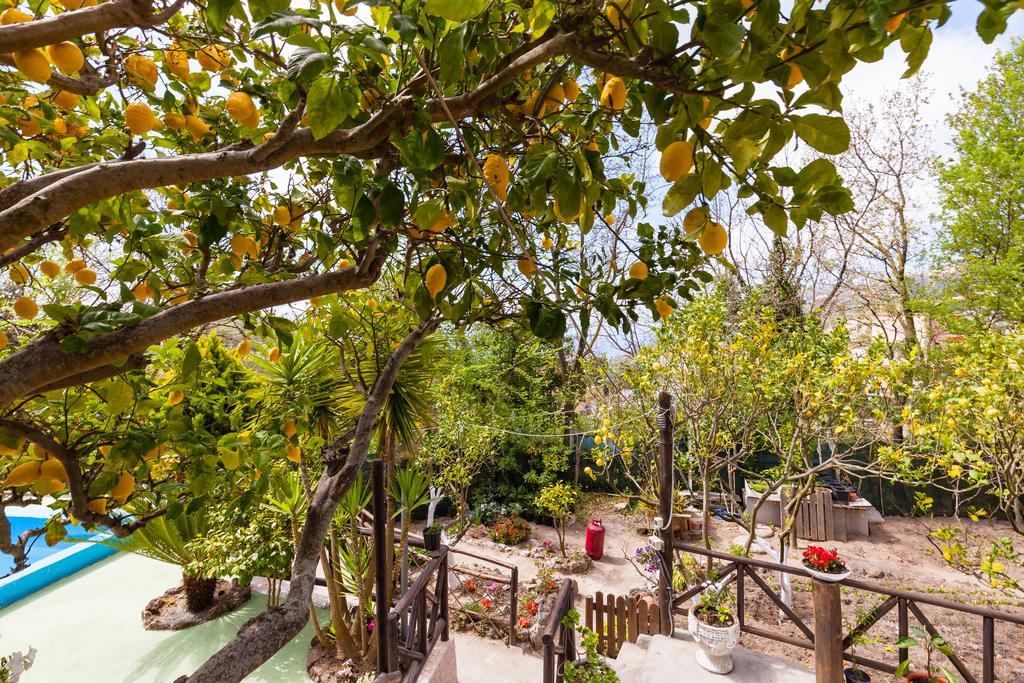 Pensjonat Nitrodi Experience Barano dʼIschia Zewnętrze zdjęcie