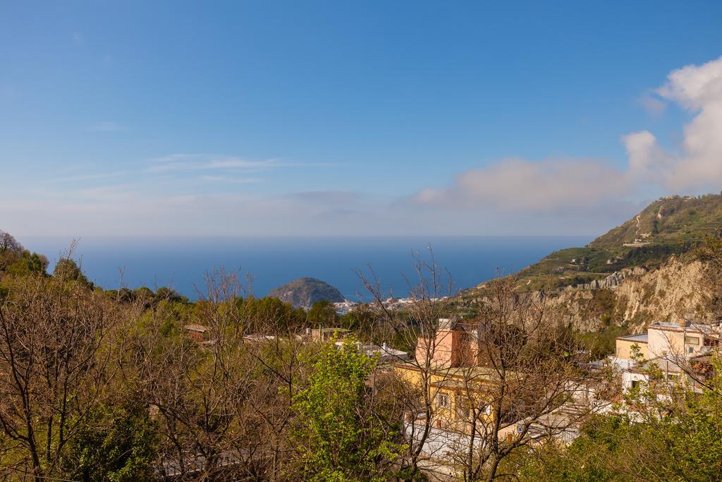 Pensjonat Nitrodi Experience Barano dʼIschia Zewnętrze zdjęcie